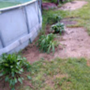 Meet your Posher, Deanna